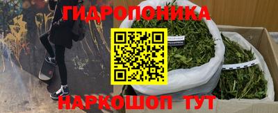 стафф Аргун
