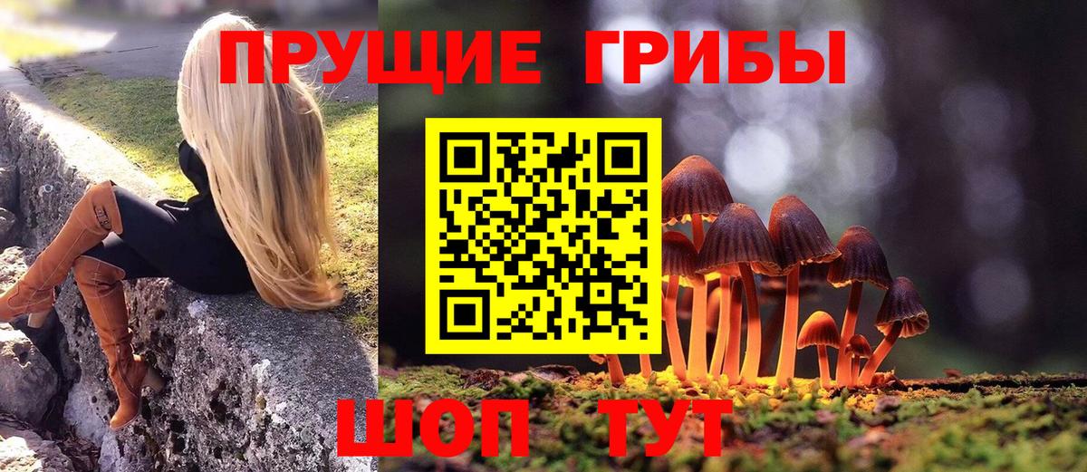 Галлюциногенные грибы GOLDEN TEACHER Братск