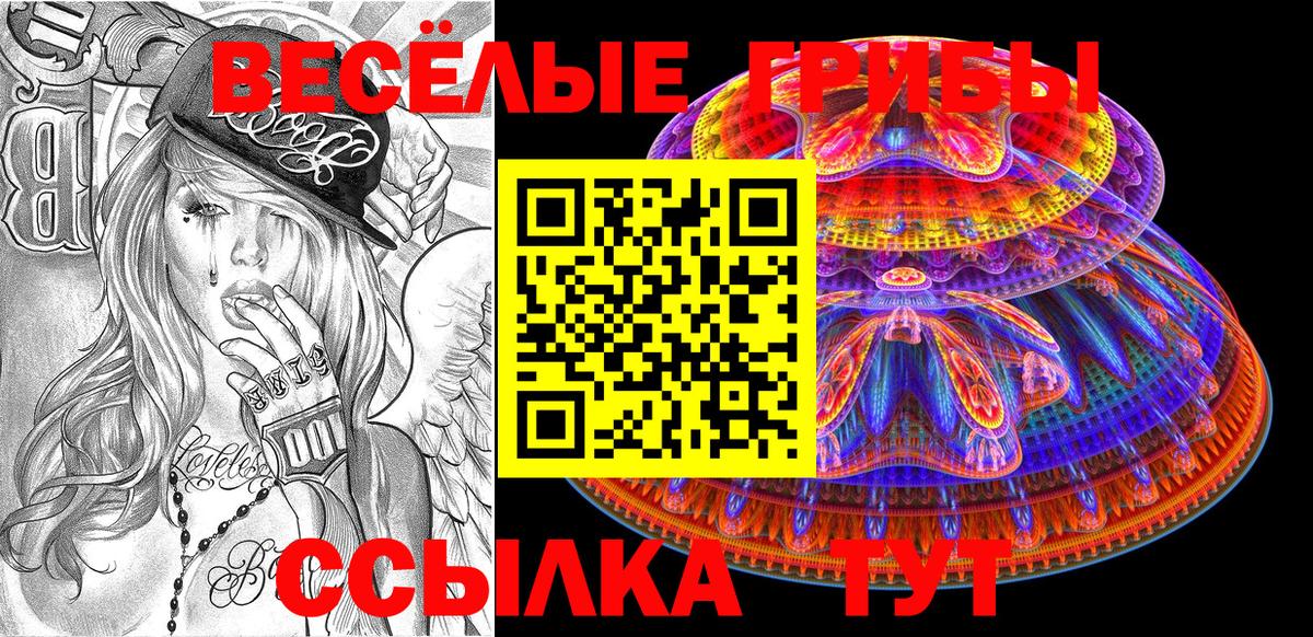 Псилоцибиновые грибы MAGIC MUSHROOMS  Вход с VPN  Братск 