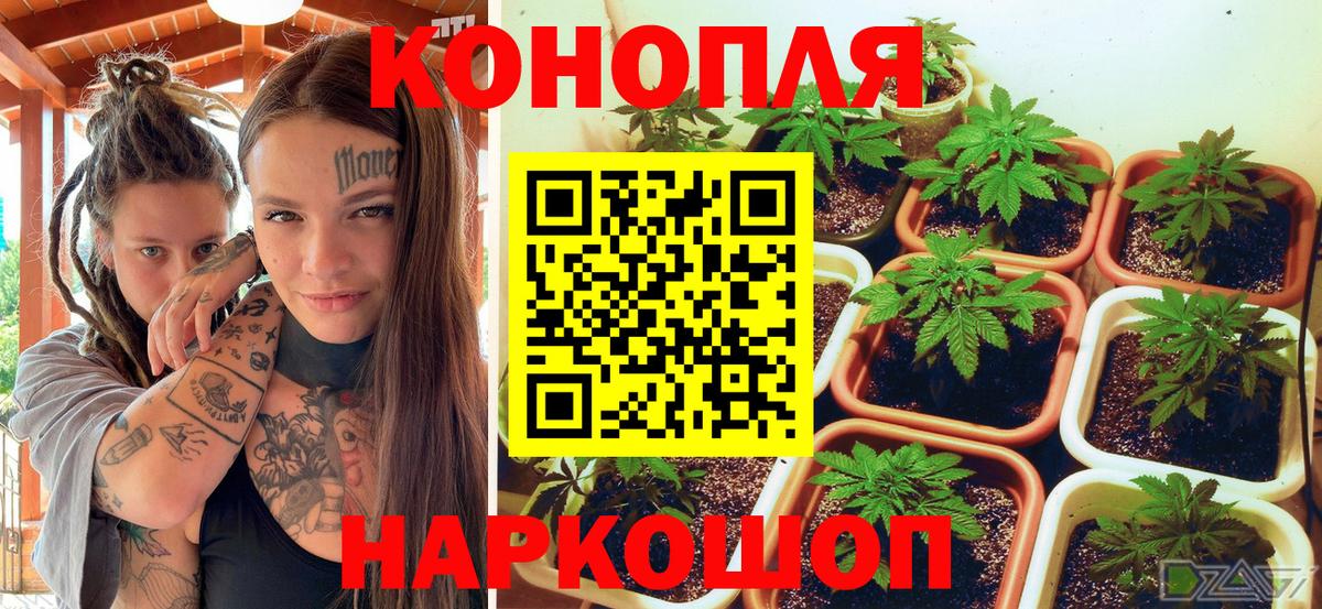 Каннабис Ganja Братск